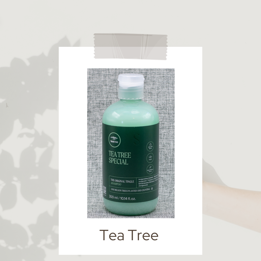 Tea Tree Collection Hair Care Products | 10-20% Off Retail – Katsura ...