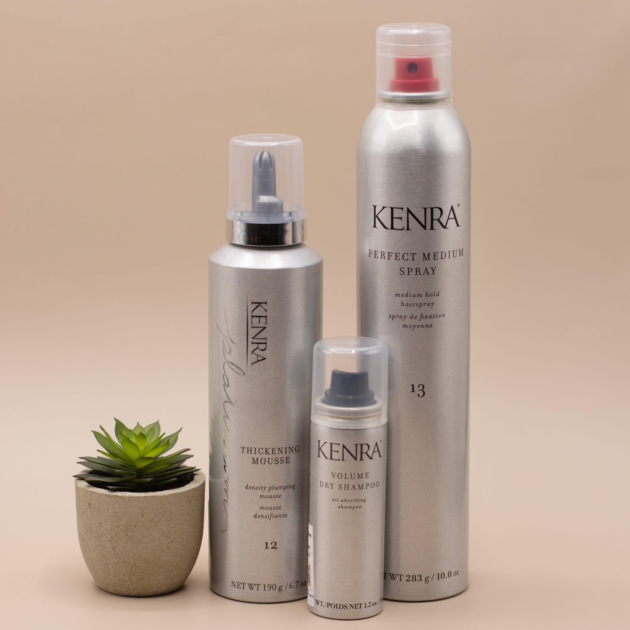 Kenra Styling Kenra Perfect Medium Spray 13