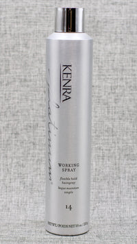 Kenra Styling Kenra Platinum Working Spray 14