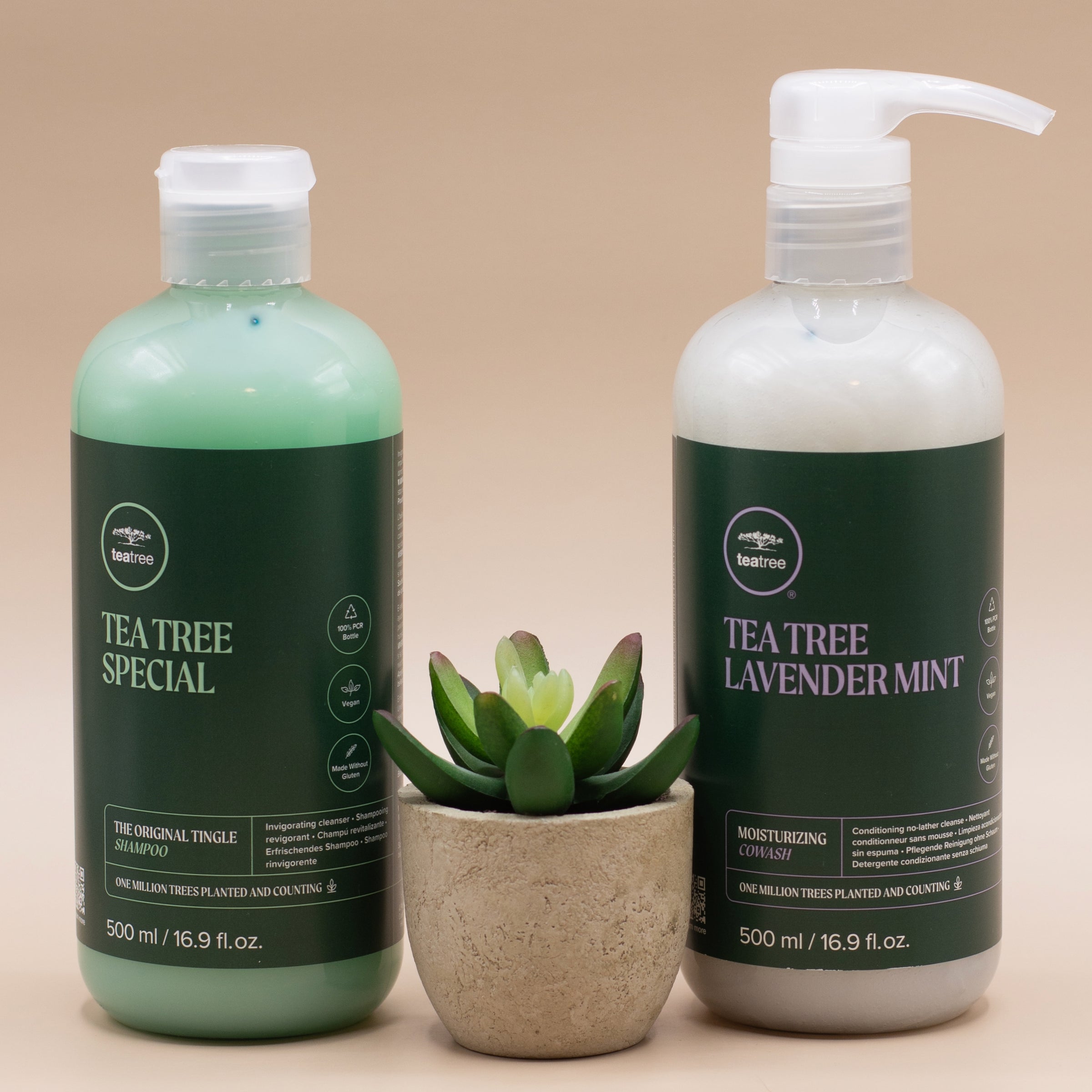 Tea Tree Hair Care 10.14 oz. Tea Tree Special Shampoo