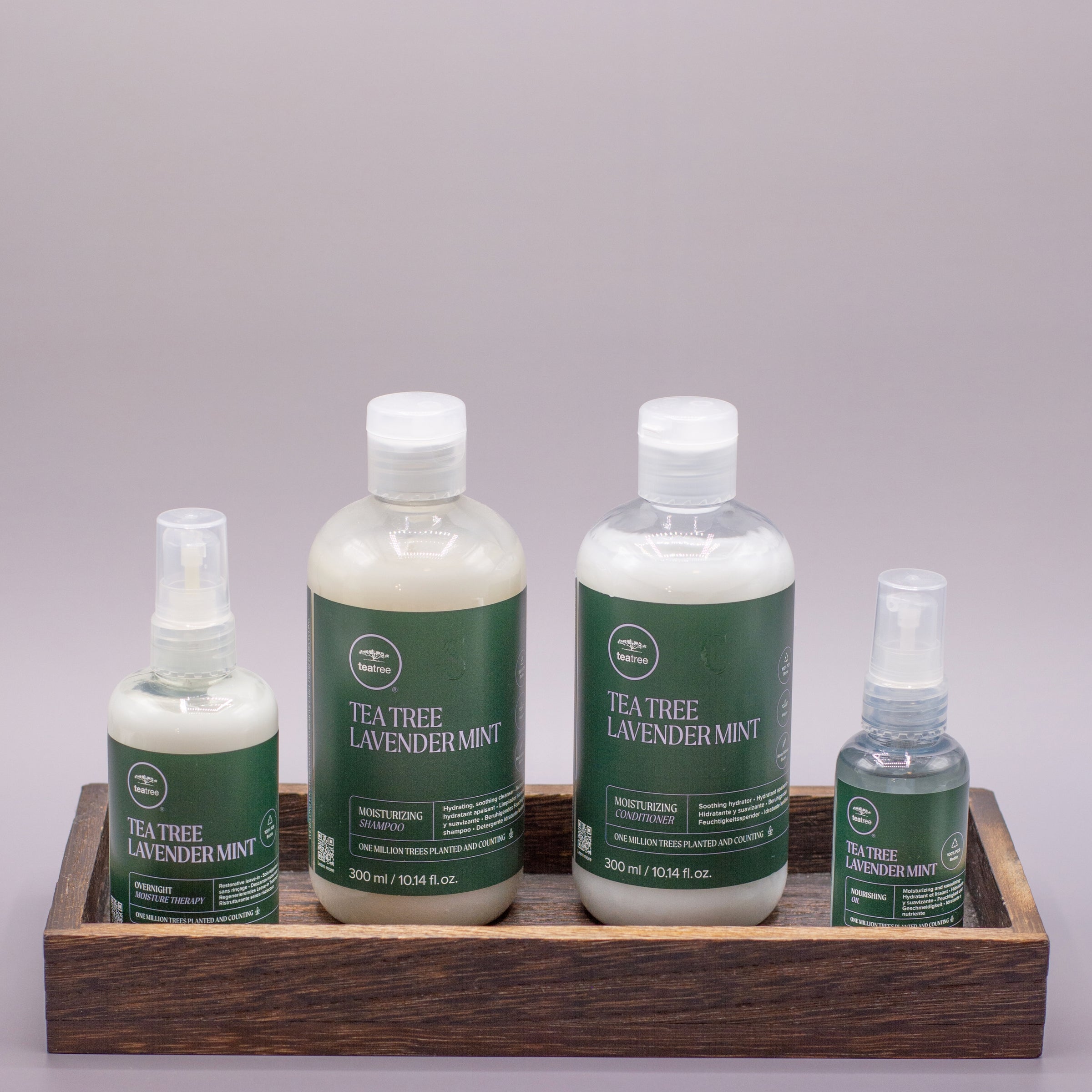 Tea Tree Hair Care Tea Tree Lavender Mint Moisturizing Shampoo