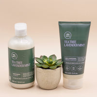 Tea Tree Hair Care Tea Tree Lavender Mint Moisturizing Shampoo