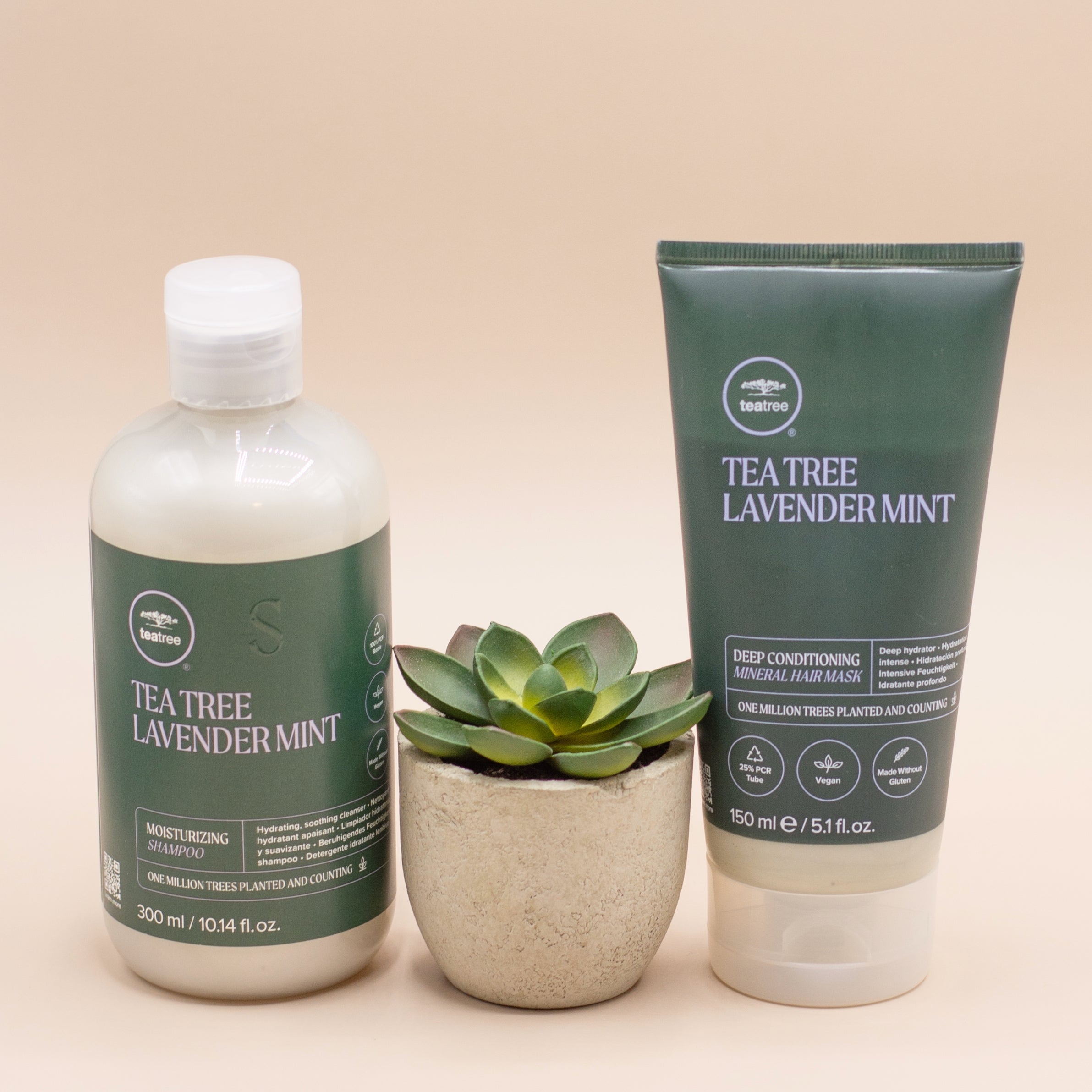 Tea Tree Hair Care Tea Tree Lavender Mint Moisturizing Shampoo