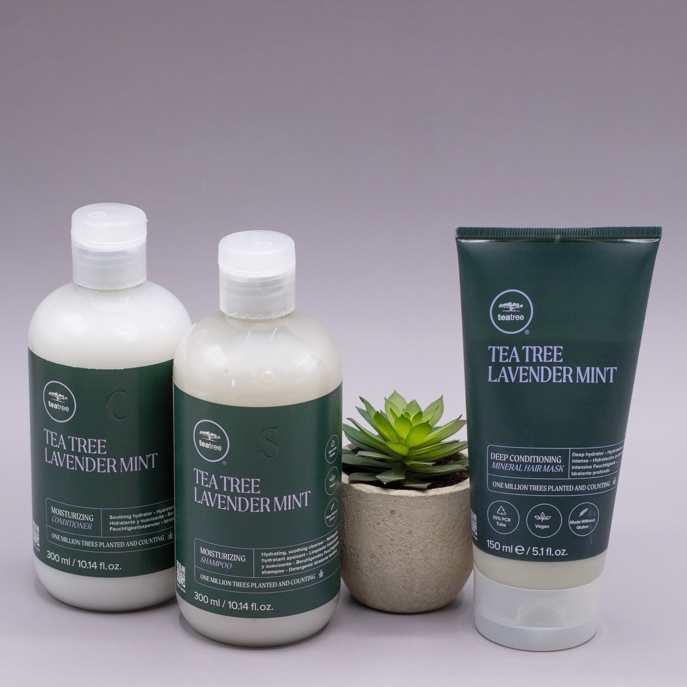 Tea Tree Hair Care Tea Tree Lavender Mint Moisturizing Shampoo