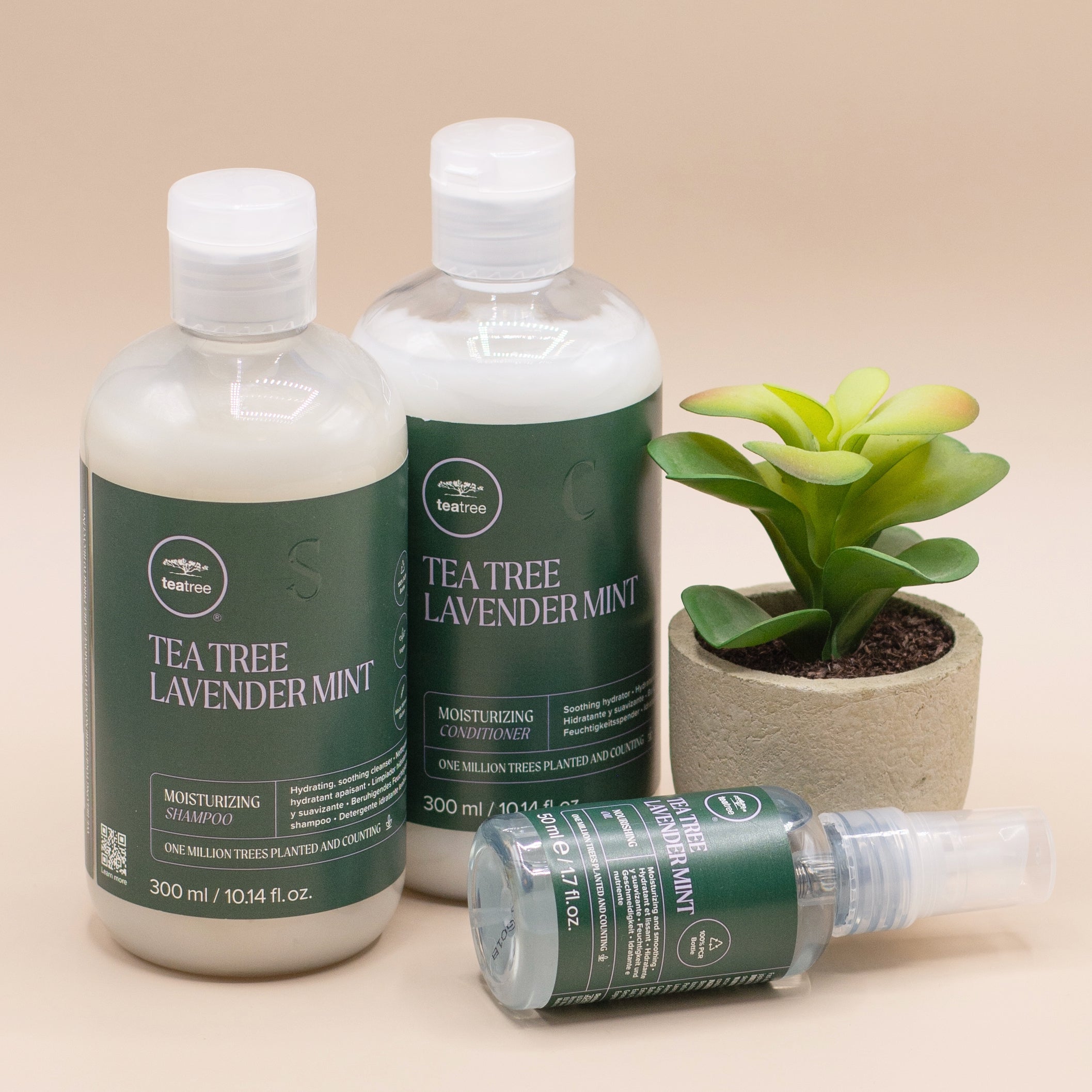 Tea Tree Hair Care Tea Tree Lavender Mint Moisturizing Shampoo